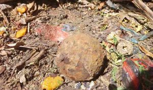 IMG-20230620-WA0017_11zon