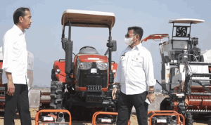 Untitled_11zon KUR Usaha Tani dorong Perkembangan Sektor Pertanian