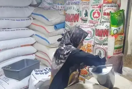 Harga Beras Terus Melejit Tembus Rp19.473 per Kg, Terparah di Februari