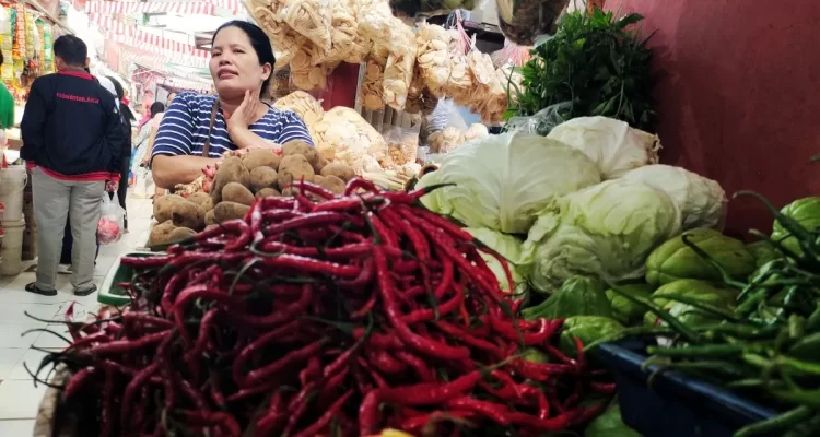 Kementan: Daerah surplus cabai bisa subsidi daerah defisit