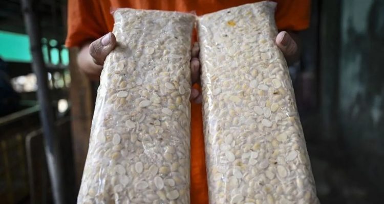 Budaya Tempe Diajukan Sebagai Warisan Budaya Tak Benda UNESCO