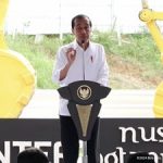 Jualan IKN kepada Bos Burj Khalifa, Jokowi: Investasinya Sangat Besar!