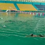 Sumatera Utara Menargetkan Dua Emas dalam Selam