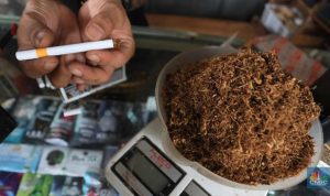Masyarakat RI Kompak Pindah ke Rokok Murah, Ini Respons Bea Cukai