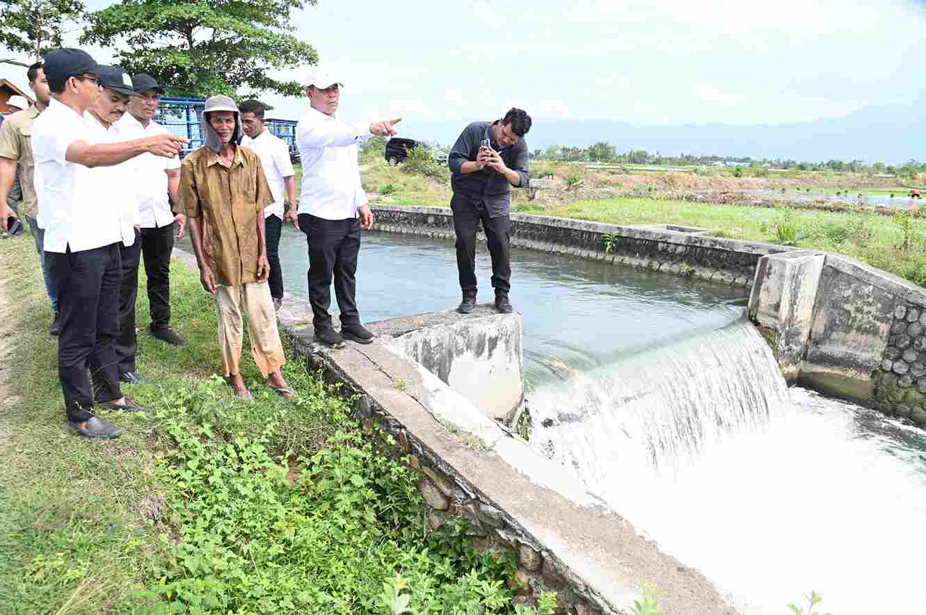 Bupati Aceh Besar Tinjau Irigasi Pertanian di Dua Kecamatan