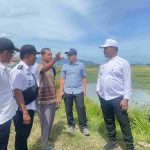 Bupati Aceh Besar Tinjau Sawah Blang Tamak Tungkop