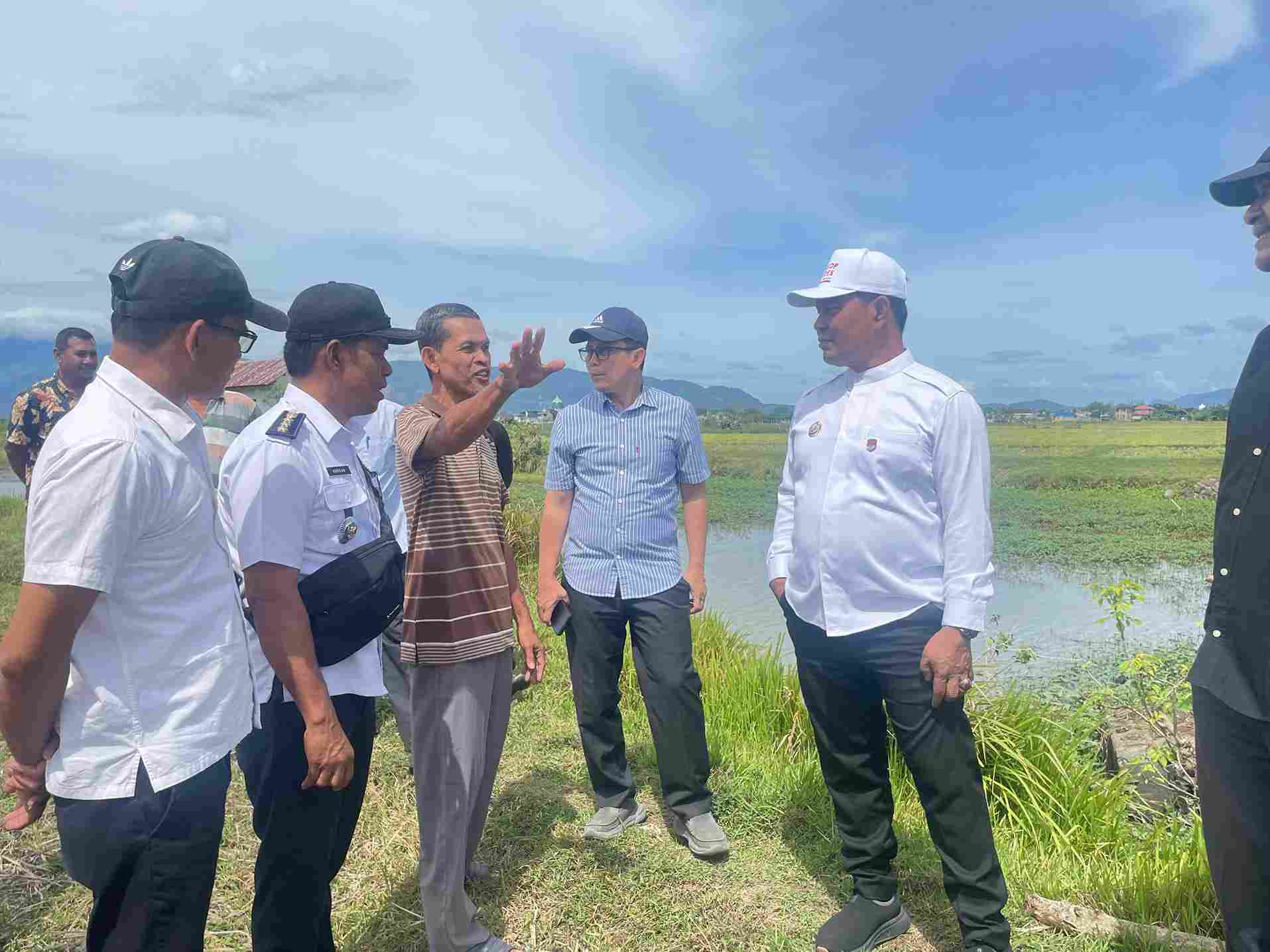 Bupati Aceh Besar Tinjau Sawah Blang Tamak Tungkop