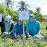 Ketua TP PKK Aceh Besar Buka Program PKMBP-TTG dan Launching Buku Saku di Baitussalam