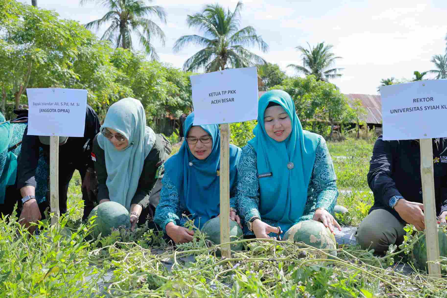 Ketua TP PKK Aceh Besar Buka Program PKMBP-TTG dan Launching Buku Saku di Baitussalam