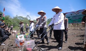 Wakil Bupati Aceh Besar Dampingi Kapolda Aceh Tanam Jagung Serentak Kuartal IV