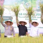 Bupati Muharram Idris Panen Padi Bersama Kementan RI di Terbeh Jantho